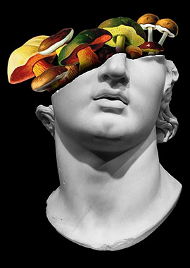 Staue Mushroom Collage Art