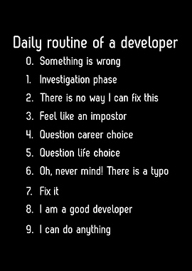 Programmer Joke Developer