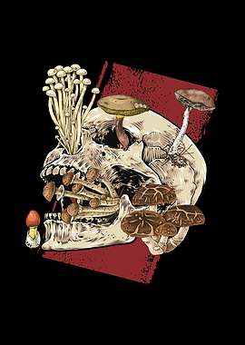 Mushroom Skull