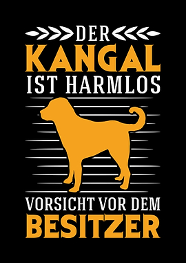 Kangal Hund Hirtenhund
