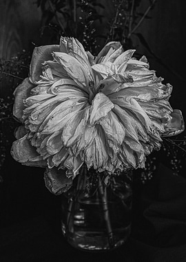 Still life with vase