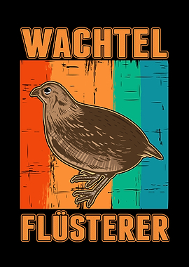 Wachtel Flsterer
