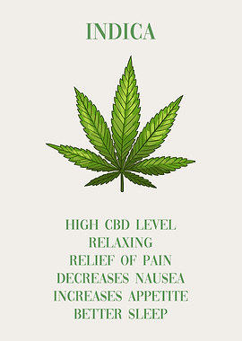 Cannabis Indica Marijuana