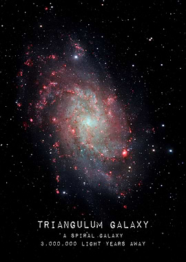 The Triangulum Galaxy