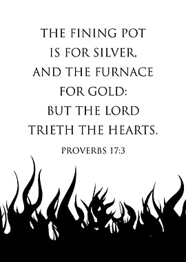 Proverbs 17 3
