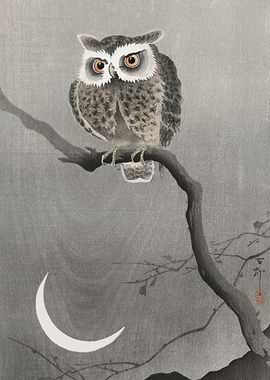 Night Owl Perch
