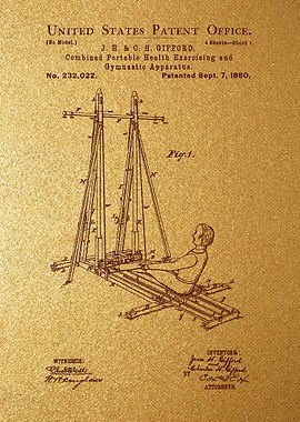 38 Exercise and Gymnastic