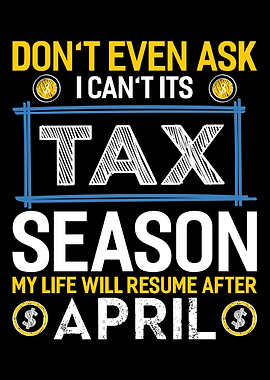 Accountant CPA Analyst