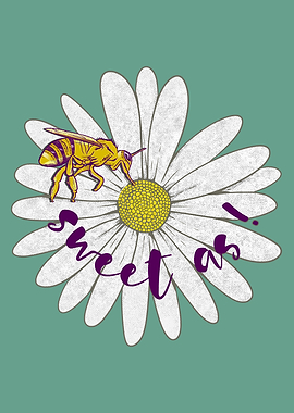 BEE ON A DAISY