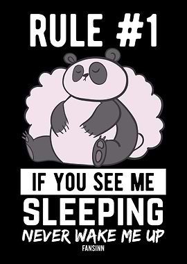 Panda sleepily do not wake