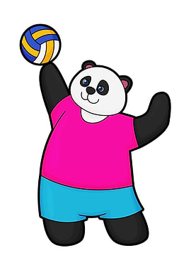 Panda Volleyball Sports