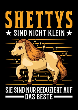 Shetland Pony Klein Shetty