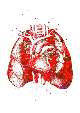 Lung and Heart Red