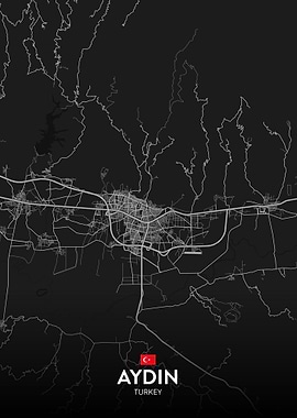 Aydin TR