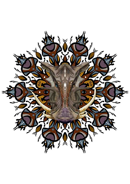 Warthog mandala