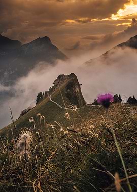 Misty Mountain Sunset