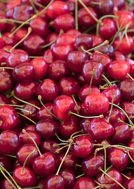 ripe cherries