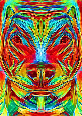 Pit Bull Colorful