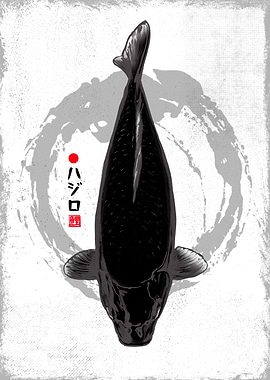 Hajiro Koi Fish