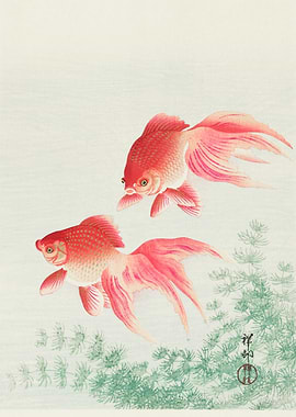 Fish in Watercolours