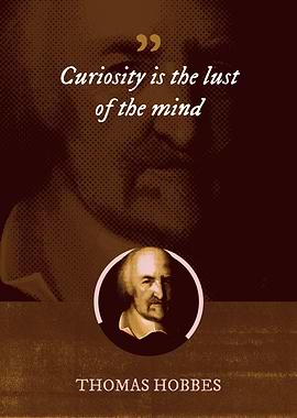Curiosity is the lust of