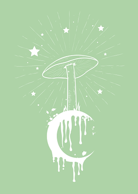 Cottagecore Frog Occult