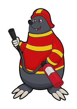 Mole Firefighter Helmet