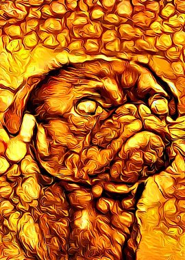 Pug Gold 2