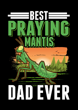 Best Praying Mantis Dad