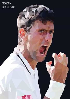 Novak Djokovic 2