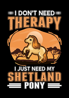 Shetland Pony Therapy