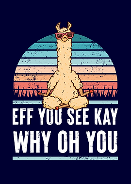 EFF You See Kay Why Llama