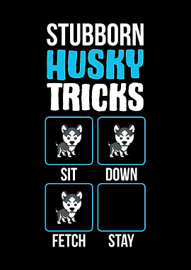Stubborn Husky