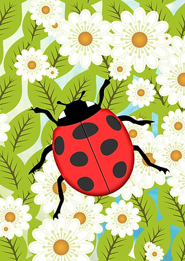 Ladybug