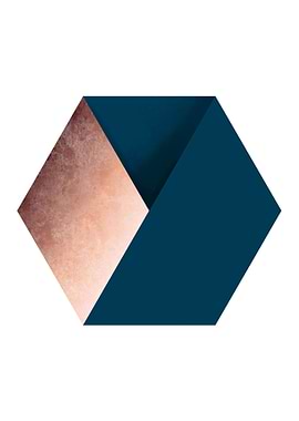 Navy and Copper Hexagon
