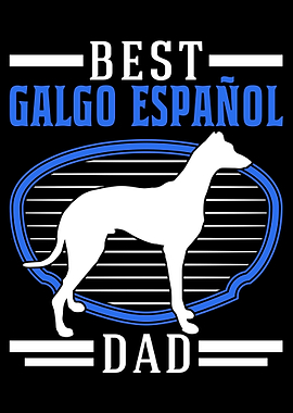Best Galgo Espanol Dad