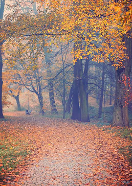 Autumn alley among trees