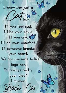 I Know Im Just A Cat