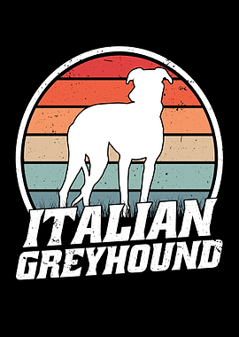 Italian Greyhound Retro