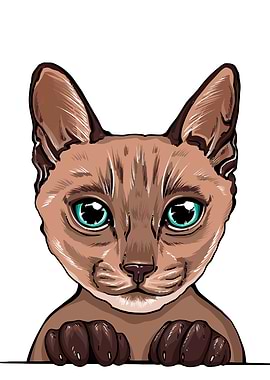 Siamese cat portrait