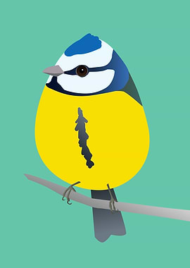 Cute egg shaped bluetit