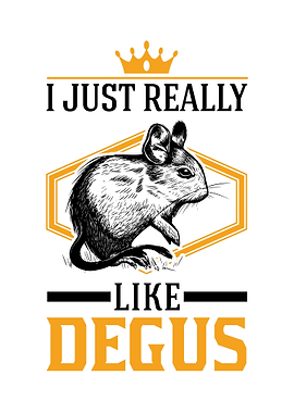 I Just Really Like Degus
