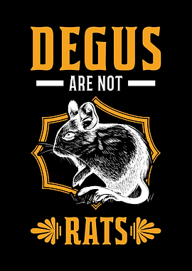 Degus Are Not Rats Chilean