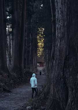 Nagano Forest
