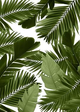 Jungle Leaves Finesse 4