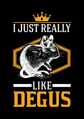 I Just Really Like Degus
