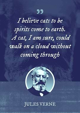 I believe cats to be