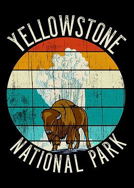 YELLOWSTONE BISON GEYSER