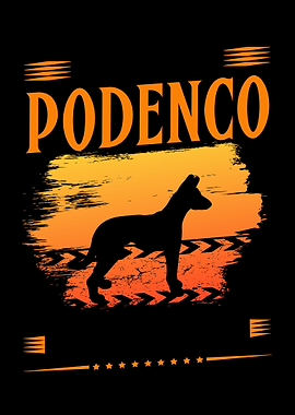 Faulster Podenco der Welt
