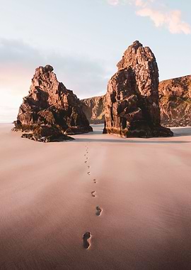 Sand prints in the sand